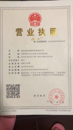 武漢淘樂思教育咨詢公司 深耕教育咨詢，賦能學習未來